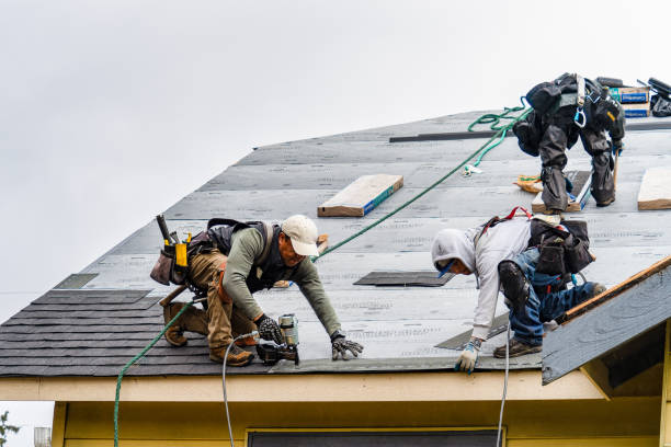Professional Roofing technician working in Lanark, IL